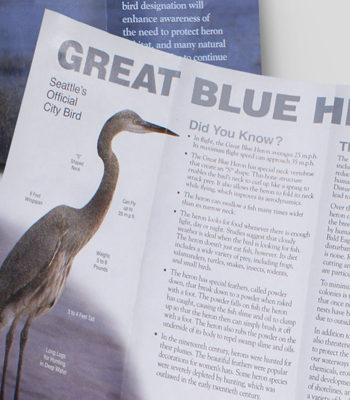 Blue Heron Brochure